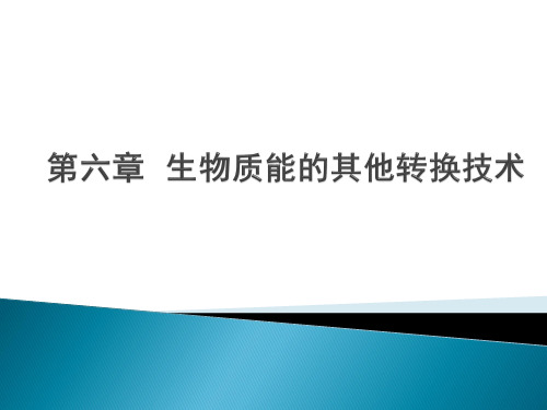 生物质能的利用之其他转化技术