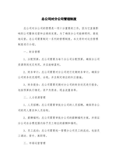 总公司对分公司管理制度