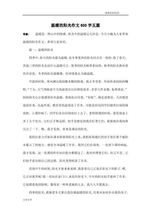 温暖的阳光作文600字五篇