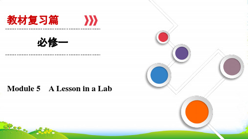 大一轮高考总复习英语(外研版)课件：必修1+Module+5