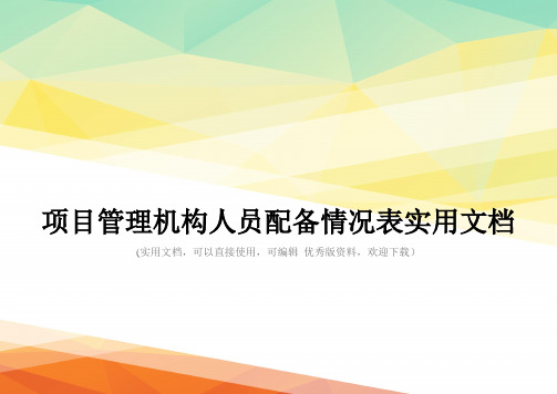 项目管理机构人员配备情况表实用文档