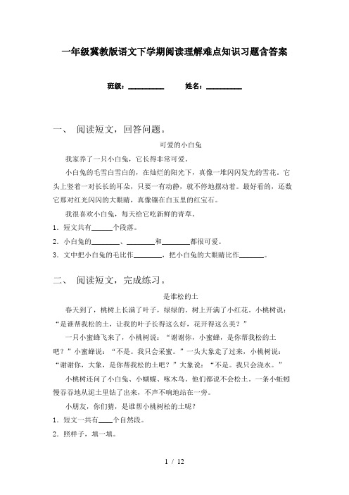 一年级冀教版语文下学期阅读理解难点知识习题含答案