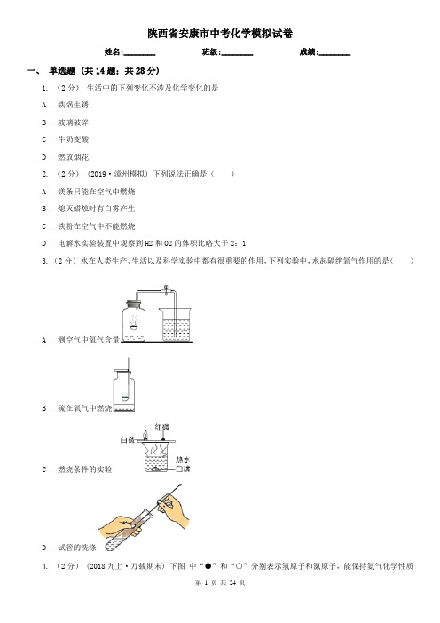 陕西省安康市中考化学模拟试卷