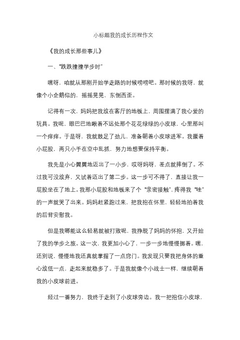 小标题我的成长历程作文