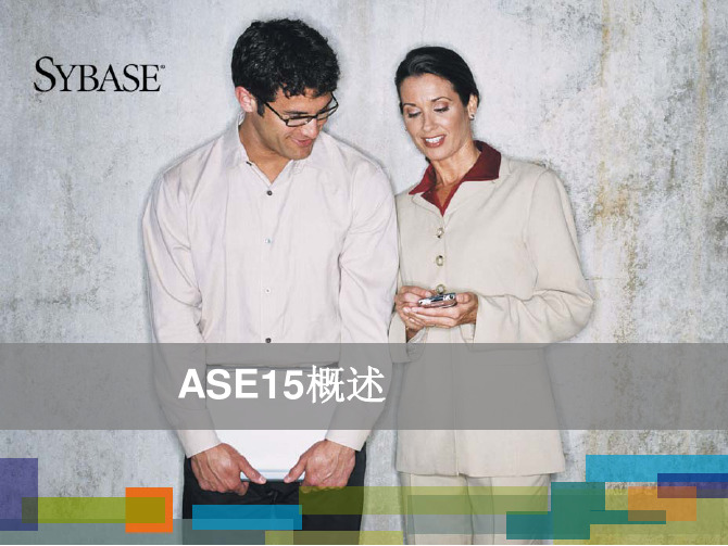 ASE 概述