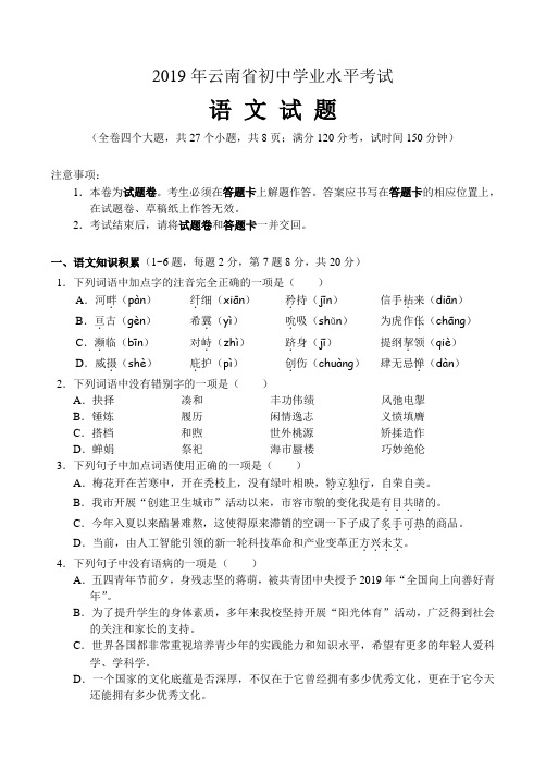 2019年云南省中考语文试题及参考答案(精校word版)