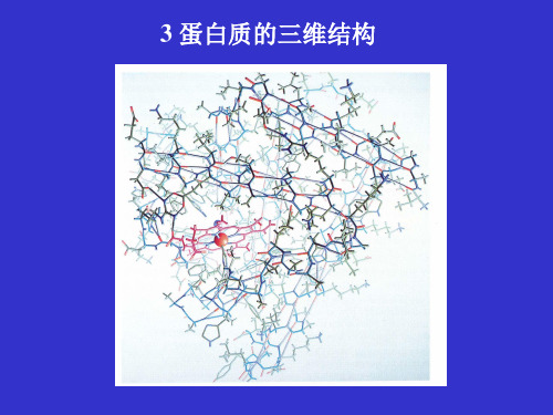3蛋白质空间结构
