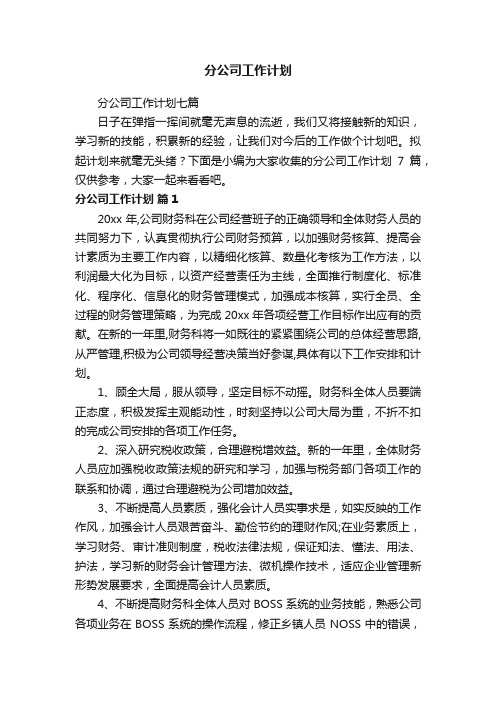 分公司工作计划