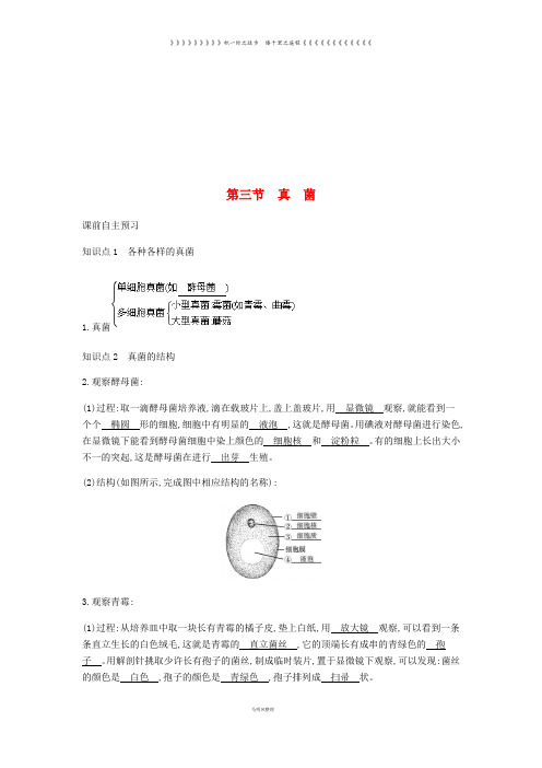 八年级生物上册 5.4.3 真菌学案 (新版)新人教版