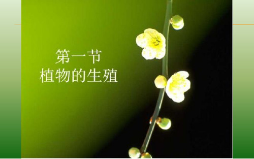 《植物的生殖》公开课一等奖课件