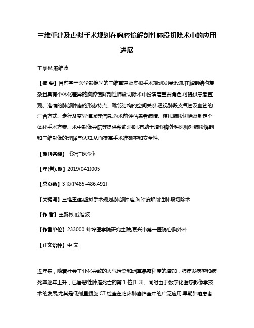 三维重建及虚拟手术规划在胸腔镜解剖性肺段切除术中的应用进展