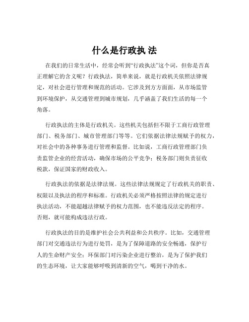 什么是行政执 法