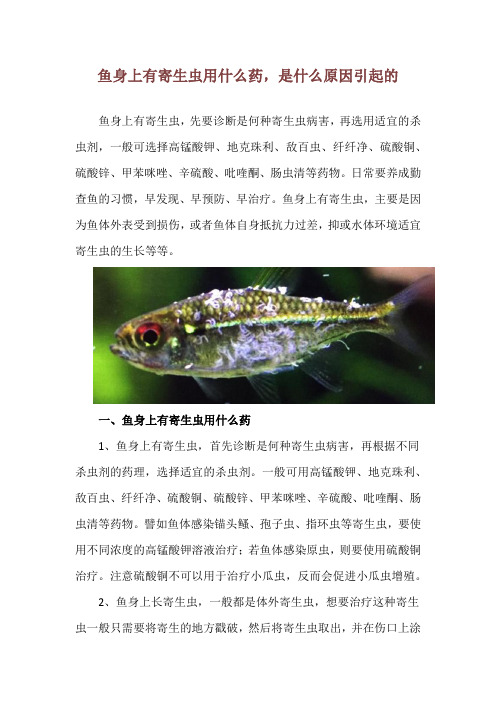 鱼身上有寄生虫用什么药,是什么原因引起的