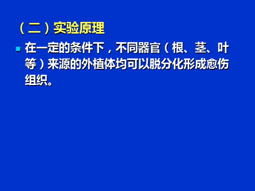 植物组织培养实验(2)