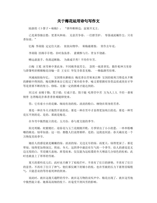 关于梅花运用诗句写作文