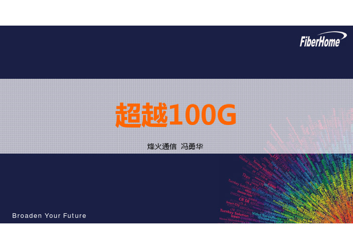 T113 _超越 100G