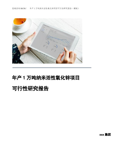 年产1万吨纳米活性氧化锌项目可行性研究报告(模板)