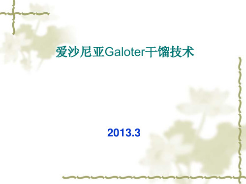 爱沙尼亚Galoter油页岩干馏技术