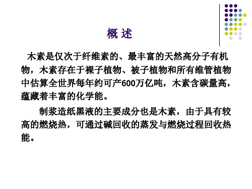 第二部分2植物纤维化学部分木素ppt课件