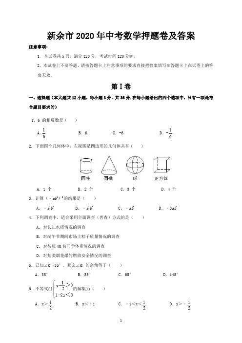 新余市2020年中考数学押题卷及答案