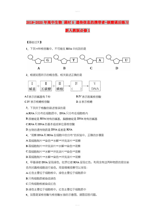 2019-2020年高中生物 课时5 遗传信息的携带者-核酸课后练习 新人教版必修1
