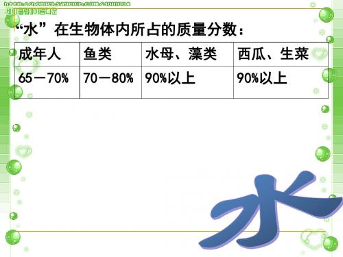 爱护水资源(ppt)