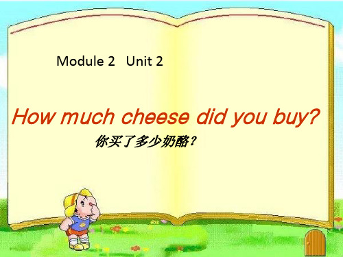 2022年外研五上M2U2How much cheese did you buy?PPT课件