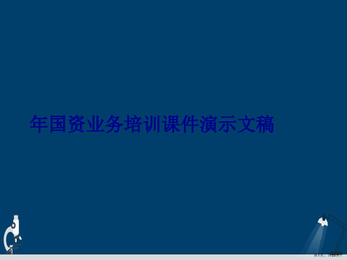 年国资业务培训课件演示文稿