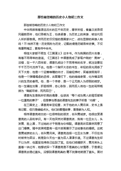 那些被忽略的历史小人物初三作文