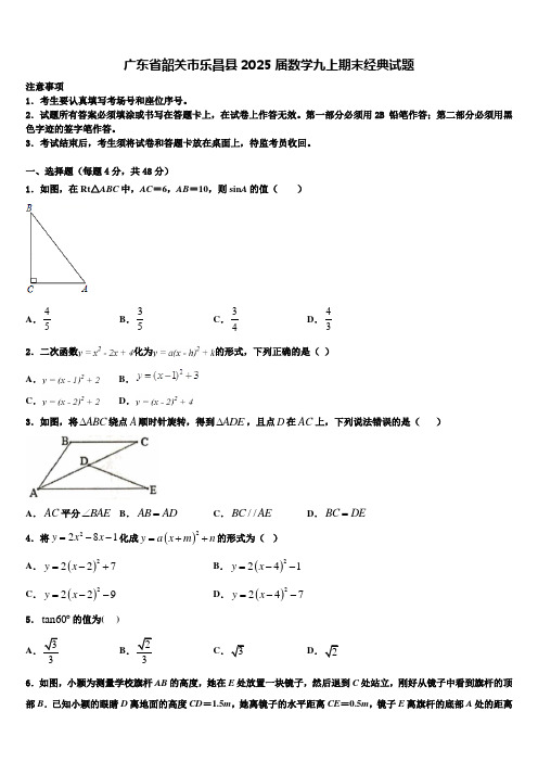 广东省韶关市乐昌县2025届数学九上期末经典试题含解析
