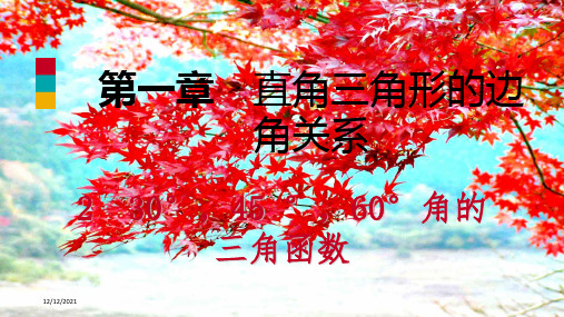 九年级数学 第一章 直角三角形的边角关系 1.2 30°、45°、60°角的三角函数值