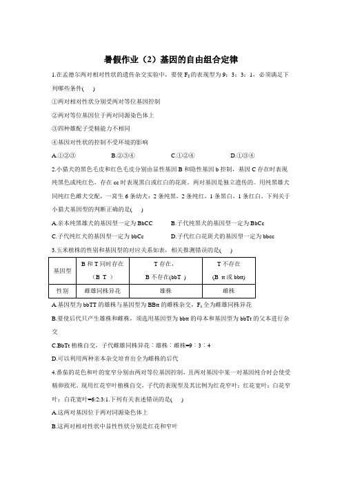 1.2基因的自由组合定律高一下学期生物人教版必修二