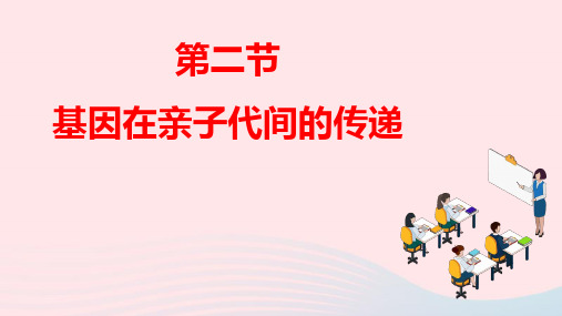 八年级生物下册第七单元第二章第二节基因在亲子代间的传递作业ppt课件新版新人教版