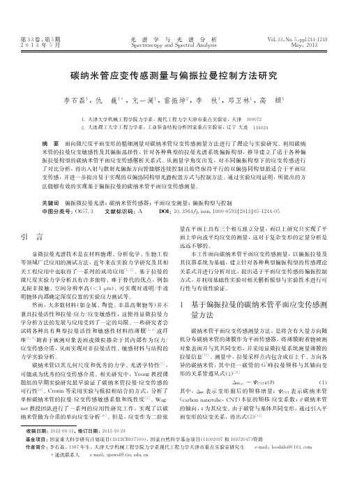 碳纳米管应变传感测量与偏振拉曼控制方法研究