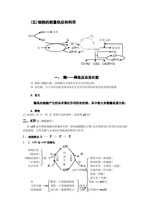 人教版生物必修一5、6章知识结构网络精选版