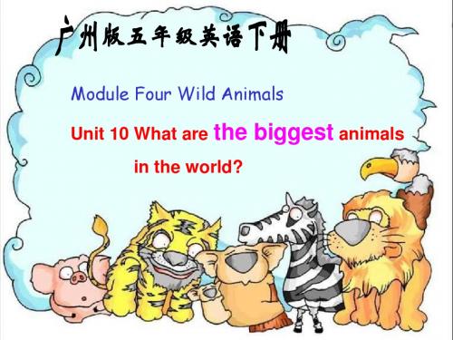 广州版英语五下《Module4 Unit10》课件1