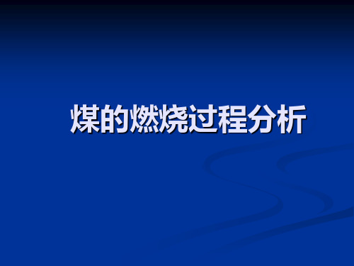 煤炭的燃烧过程分析苗媛