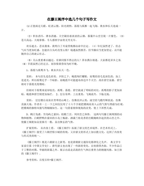 在滕王阁序中选几个句子写作文