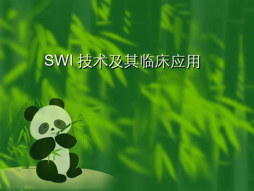 医学影像学(1.3.4)--SWI技术及其临床应用