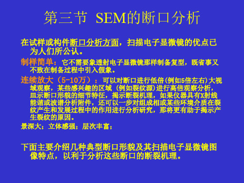 电子显微分析 SEM的断口分析