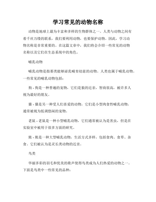 学习常见的动物名称