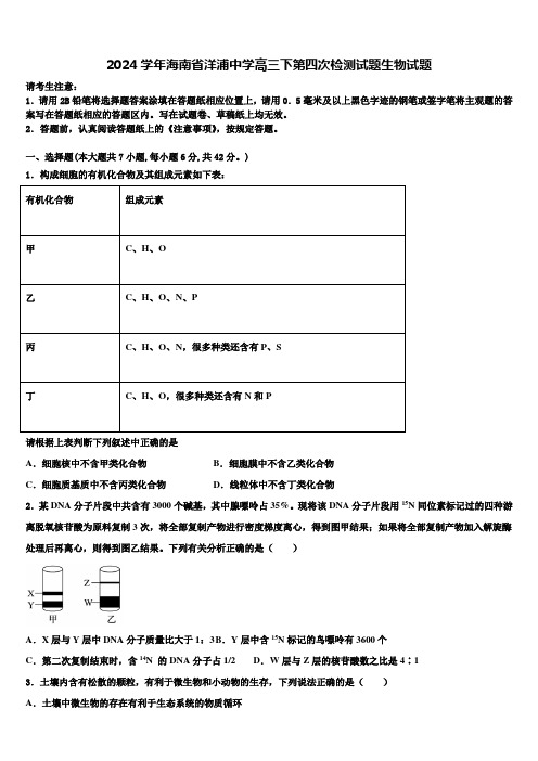 2024学年海南省洋浦中学高三下第四次检测试题生物试题含解析