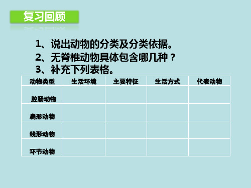 第一节无脊椎动物的主要类群第二课时课件济南版生物七年级上册