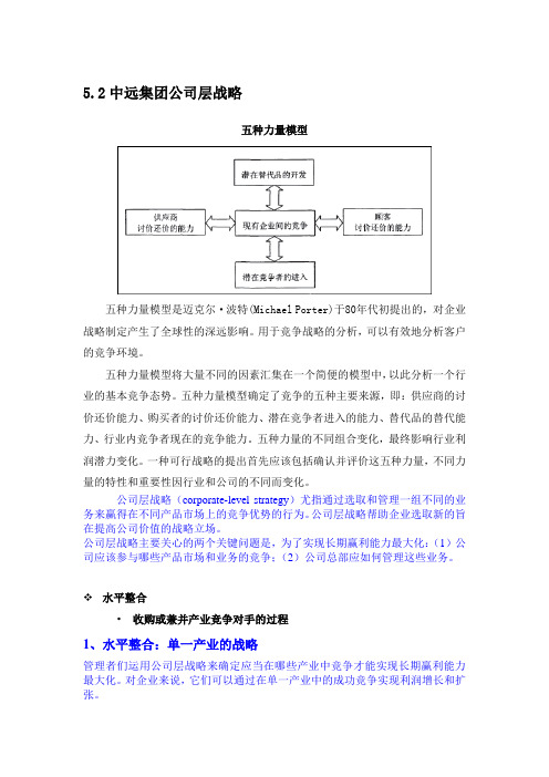 公司层战略wyq