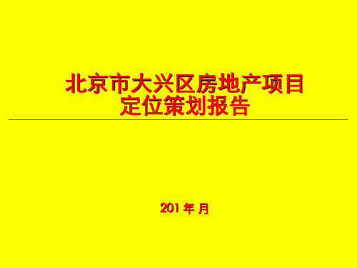 北京市大兴区房地产项目定位策划报告