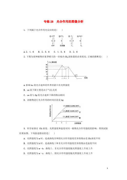 2025版新教材高考生物微专题小练习专练28光合作用的图像分析