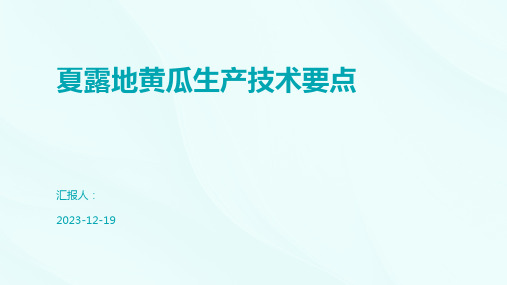 夏露地黄瓜生产技术要点