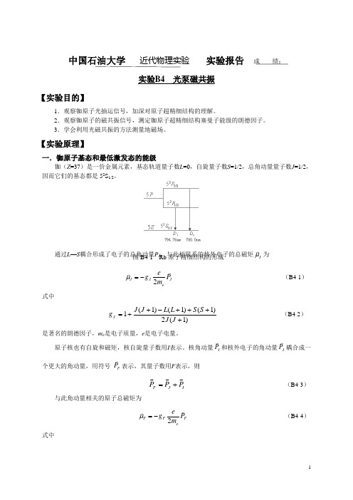 光泵磁共振_3