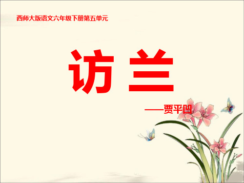 访兰 PPT优秀课件