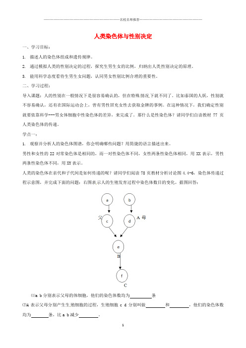 八年级生物上册 4.4.3人类染色体与性别决定名师精编导学案 (新版)济南版